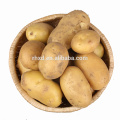 wholesale potatoes fresh potatoes 20kg bags price